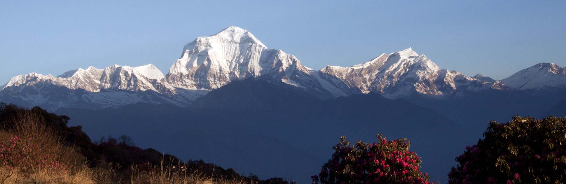 punhill panorama.jpg