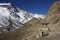 Nar Phu Valley and Tilicho Lake Trek