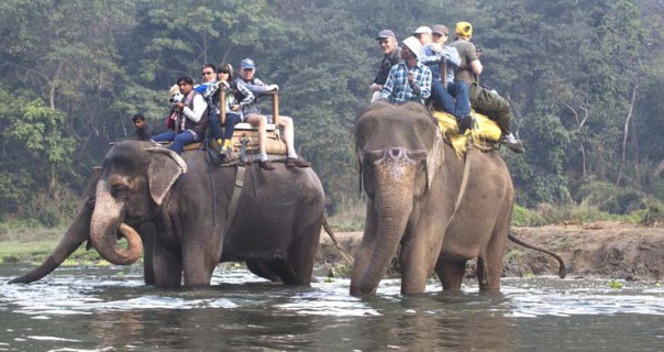 Chitwan National Park and Elephant Safari