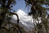 Mt Langtang II (Ghenge Lirung) 6571m– it dominates the view of early few days of trek.jpg