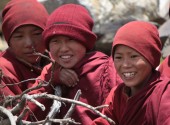 Group of Young Buddhist Monks.JPG