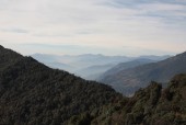 IMG_9205.JPG